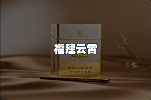 福建云霄